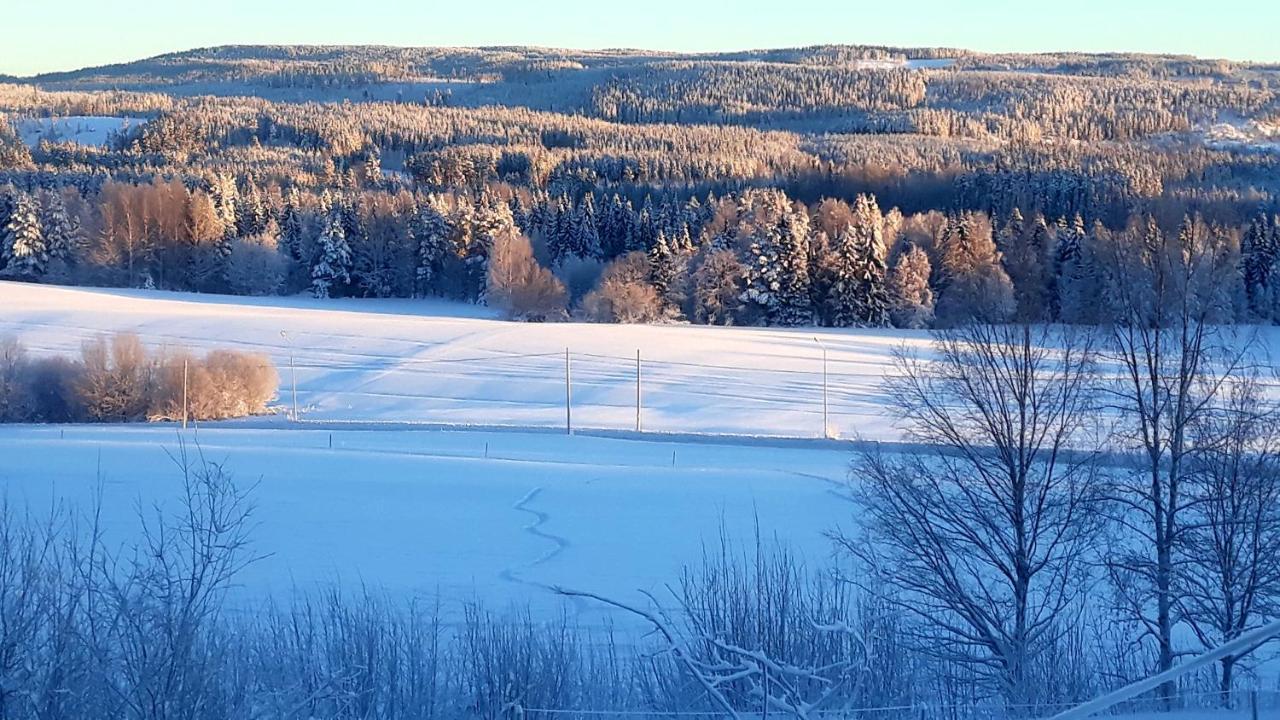 Cozy Stuga - Mountain View Ramsele Eksteriør bilde